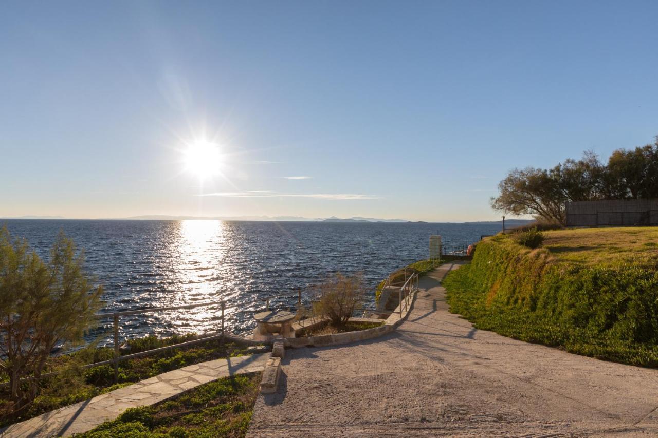 Luxurious Villa Philoxenia Lagonisi Buitenkant foto